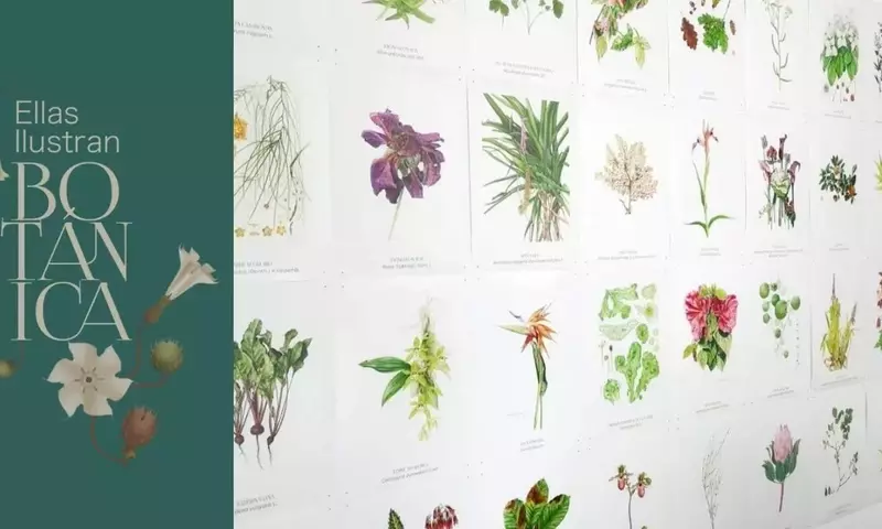 Celebrando la Contribución Femenina a la Ilustración Botánica