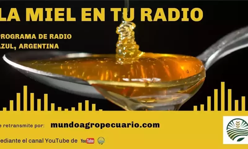 “La Miel en tu Radio”: Conexión Apícola y Sostenibilidad