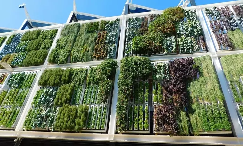 Duplicando la Naturaleza: El Auge de los Jardines de Espejo en el Diseño Urbano