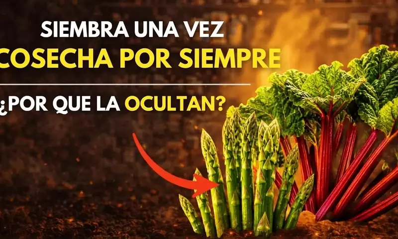 Cosecha Eterna: El Arte de Cultivar Hortalizas Perennes en tu Huerto