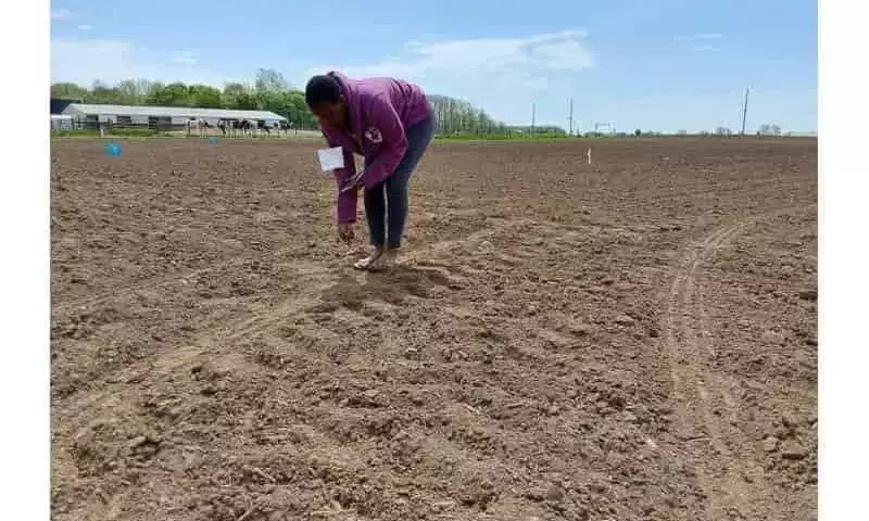 Estudio revela limitaciones del biocarbón en la retención de fósforo agrícola