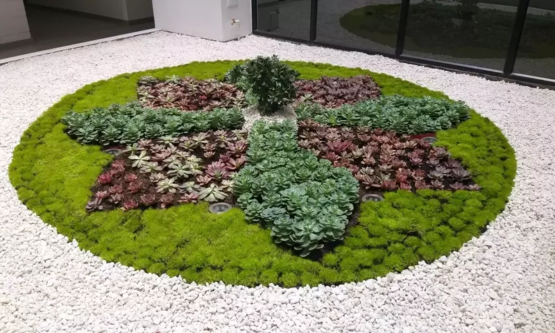 Jardines bogotanos: integrando la flora nativa para un ecosistema urbano floreciente