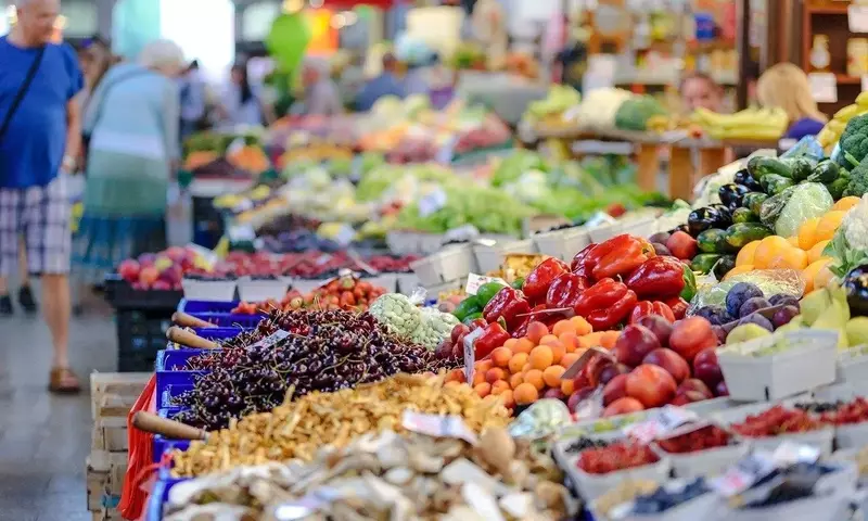 Panorama del Sector Hortofrutícola Español: Retos, Oportunidades y Proyecciones hacia 2026