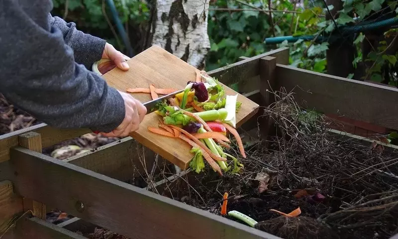 Evita Errores Comunes al Usar Compost en Jardines y Huertos Urbanos