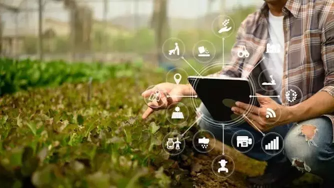 La inteligencia artificial transforma la agricultura moderna: desafíos y oportunidades