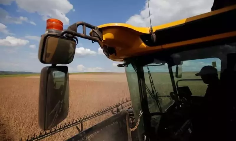 La actividad agrícola argentina sufre una desaceleración en abril debido a factores climáticos y logísticos