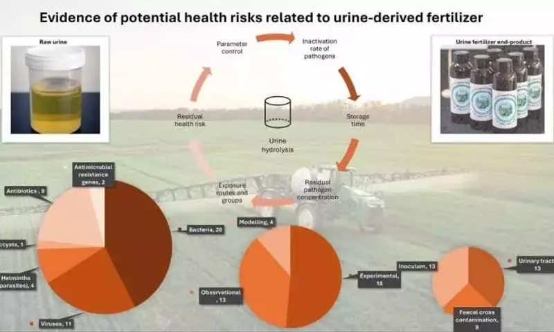 El 'Oro Líquido': Potencial y Desafíos de la Orina Humana como Fertilizante Agrícola Sostenible