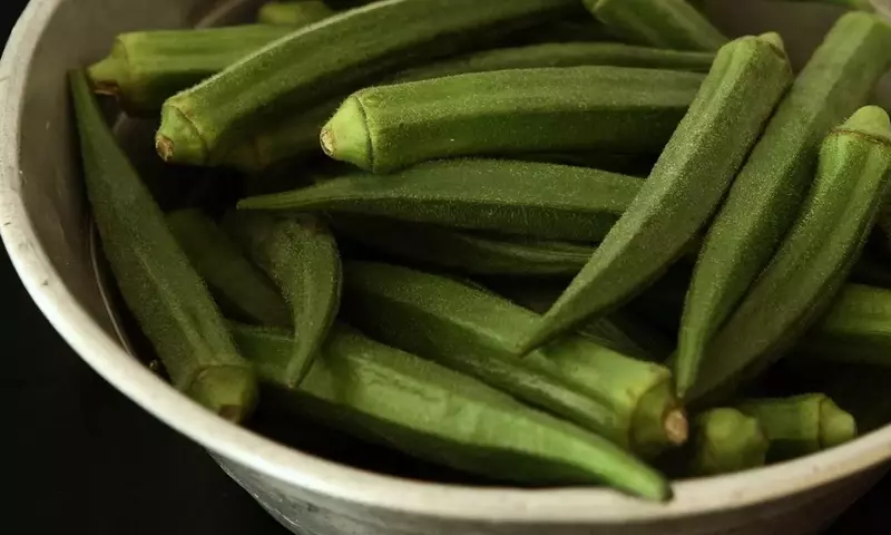 Cultivo Exitoso de Okra en Contenedores: Una Guía Completa para Tu Jardín Tropical Urbano