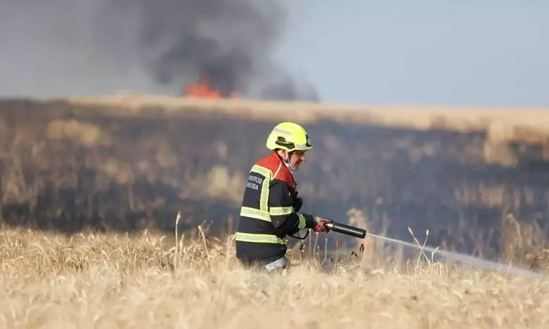 Investigación en Córdoba: Incendio Forestal Originado por Quema de Restos de Poda