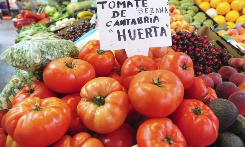 Hortalizas La Colina: Un Modelo de Cultivo Tradicional Innovador en Cantabria