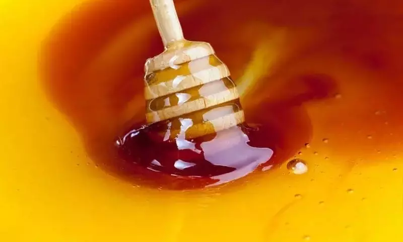 La Durabilidad Excepcional de la Miel: Un Milagro de la Naturaleza y las Abejas