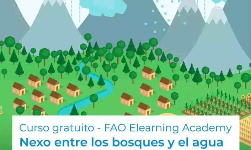 Curso Gratuito: Conexión Fundamental entre Bosques y Agua
