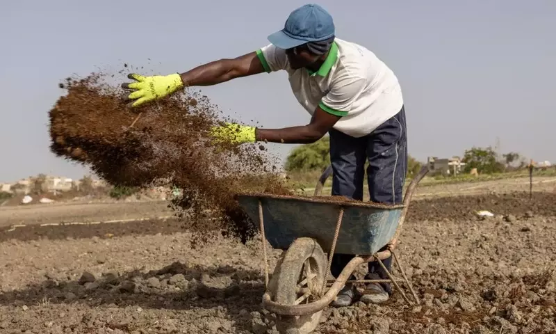 La escalada de precios en los abonos químicos acelera la transición hacia una agricultura más autónoma