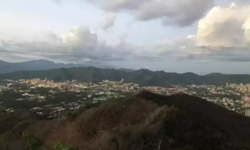 Gran jornada de reforestación para devolver el verde al cerro El Casupo