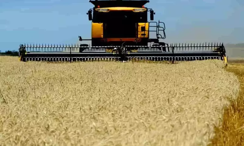 La Baja del Precio de la Urea Impulsa la Campaña Triguera en Argentina