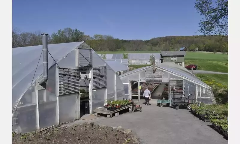 El Éxito y la Innovación del Cultivo de Aloe Vera Ornamental en Almería