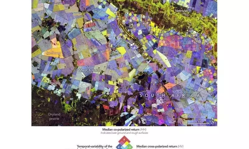 El Radar Satelital NISAR Revela Secretos Agrícolas en el Triángulo del Maíz Sudafricano
