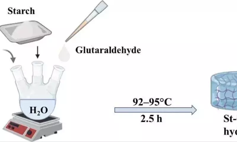 Hidrogeles biodegradables para impulsar la agricultura sostenible