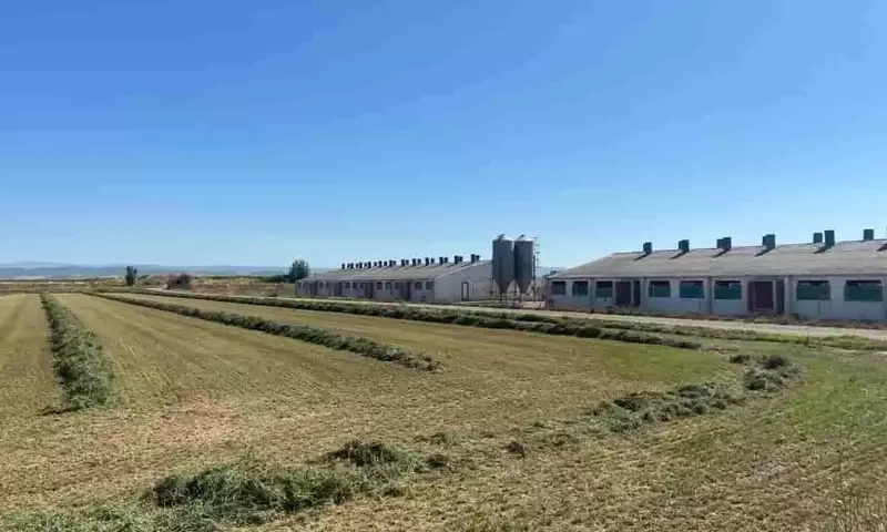 La ciencia desvela el impacto de los purines en el suelo agrícola