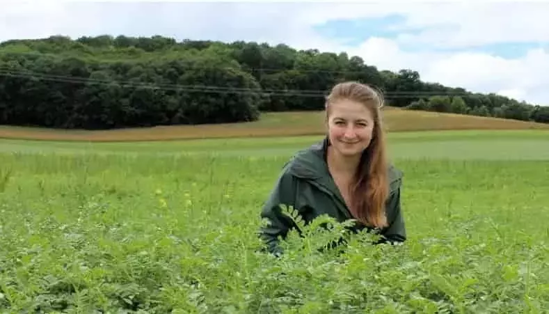 Transformación Agrícola: El Legado de Marie von Schnehen y el Garbanzo Ecológico