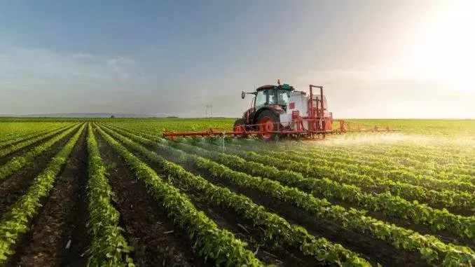 Fitosanitarios en Argentina: La Encrucijada entre Producción y Percepción Social