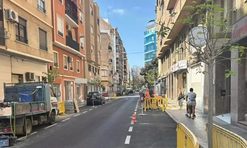 Transformación Verde Urbana: Ciudades Españolas Impulsan el Arbolado contra el Calor