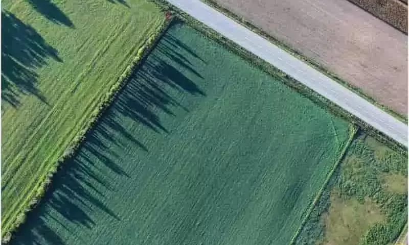 La IA en la Agricultura: ¿Progreso para Todos o Brecha Creciente?