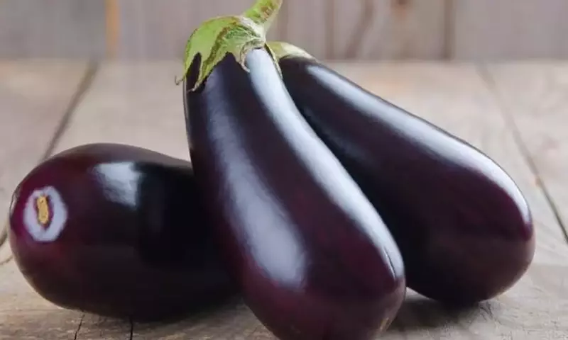 Dominando la Berenjena: Secretos Culinarios para Platos Perfectos