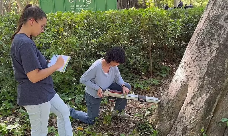 Innovación Tecnológica para la Salud de Árboles Emblemáticos en Sevilla