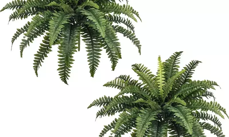 Top Picks: The Most Realistic Artificial Plants on Amazon