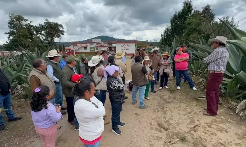 Foro Regional de Agaves Pulqueros Impulsa Protección Legal y Desarrollo Sostenible