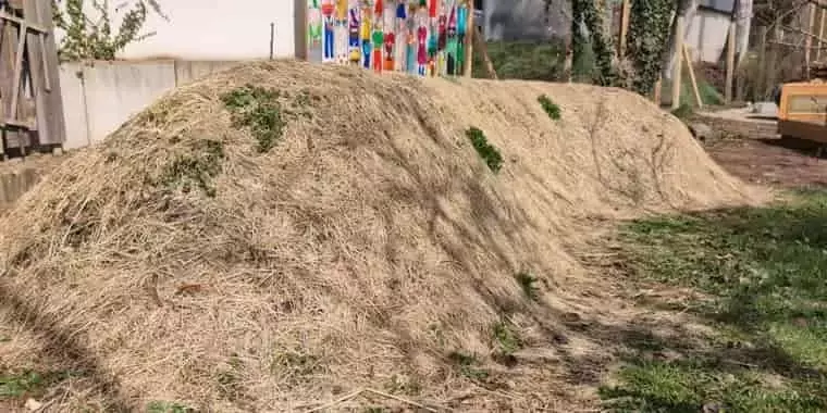Hügelbeet: Innovación Agrícola con Camas Elevadas para un Cultivo Sostenible
