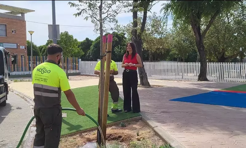 Estrategia de Riego para la Consolidación de Árboles Jóvenes en Sevilla