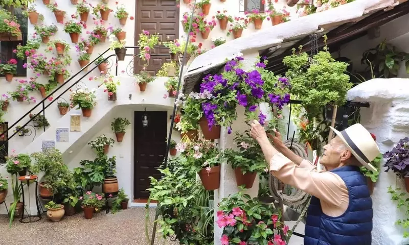 Glosario Botánico para Patios de Córdoba: Un Puente Lingüístico con Francia