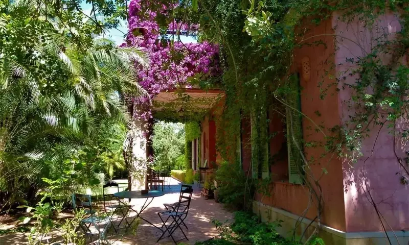 Creando un Jardín Ecológico: Un Refugio Sostenible para el Planeta