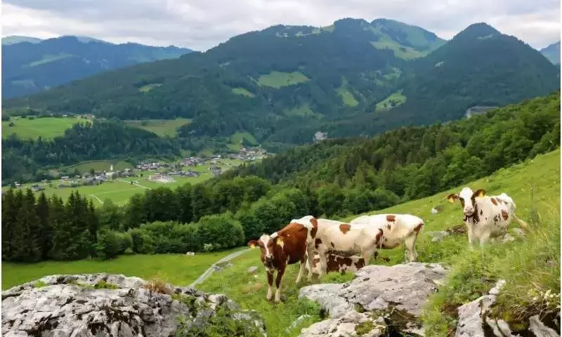 La agricultura ancestral: nutrición y resguardo natural