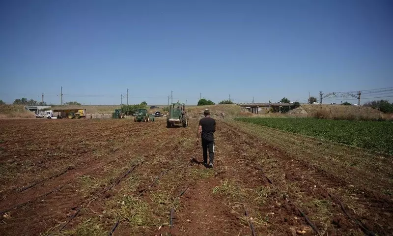 Europa Refuerza Apoyo al Sector Agrícola ante Crisis de Fertilizantes