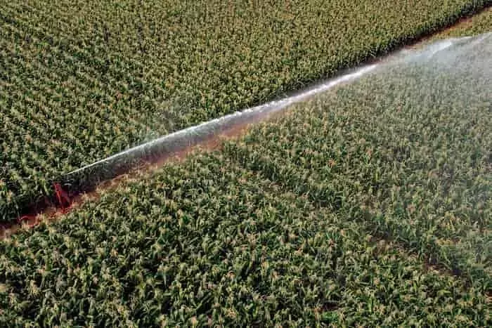 Optimización del Riego: Estrategias Alemanas para Mayor Eficiencia y Productividad Agrícola