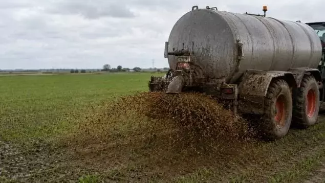Estudio Aragonés Revela Impacto Moderado de Purines de Cerdo en Suelos Agrícolas