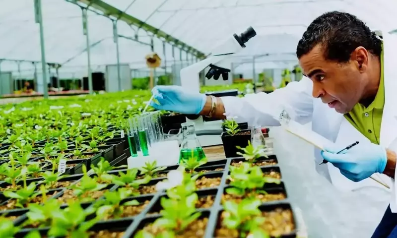 Revolución Agrícola Europea: El Impacto de las Nuevas Técnicas Genómicas
