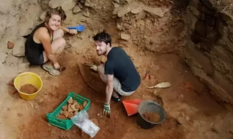 Descubrimiento de ADN en Semillas Antiguas Revela Orígenes del Vino Moderno