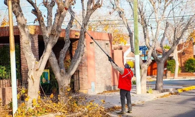 Rivadavia Emprende Ambicioso Plan de Poda Invernal para 11,000 Árboles Urbanos