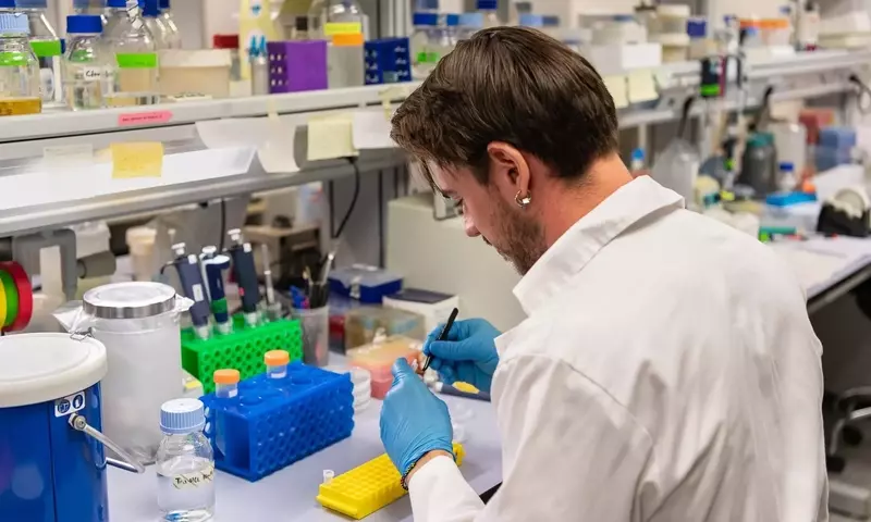 Plantas Transformadas en Biofábricas de Nutrientes