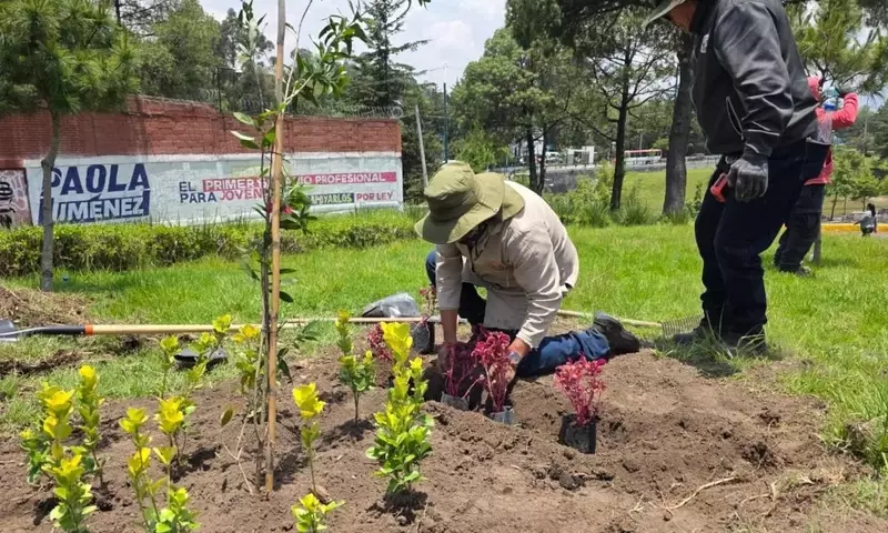 Toluca Transforma su Paisaje Urbano con una Amplia Red de Jardines para Polinizadores