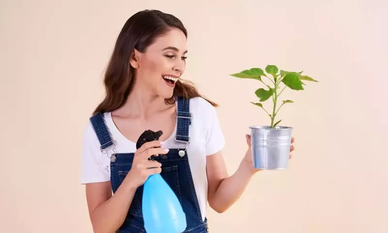 El Secreto del Agua de Arroz: Abono Natural para un Jardín Radiante