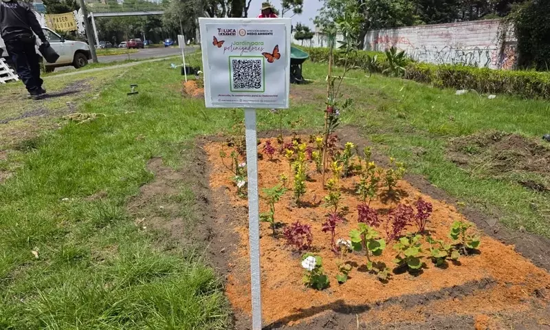 La Transformación Urbana a Través de Jardines Polinizadores: Un Compromiso con la Biodiversidad
