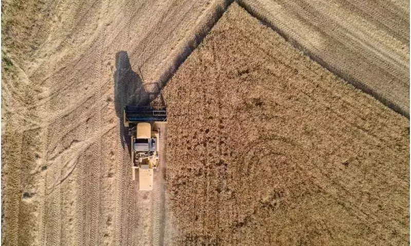 La agricultura regenerativa en Europa: beneficios económicos y ambientales dependientes del contexto