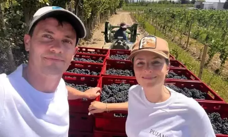 Renacimiento vitivinícola: Argentina recupera viñedos patagónicos para vinos premium