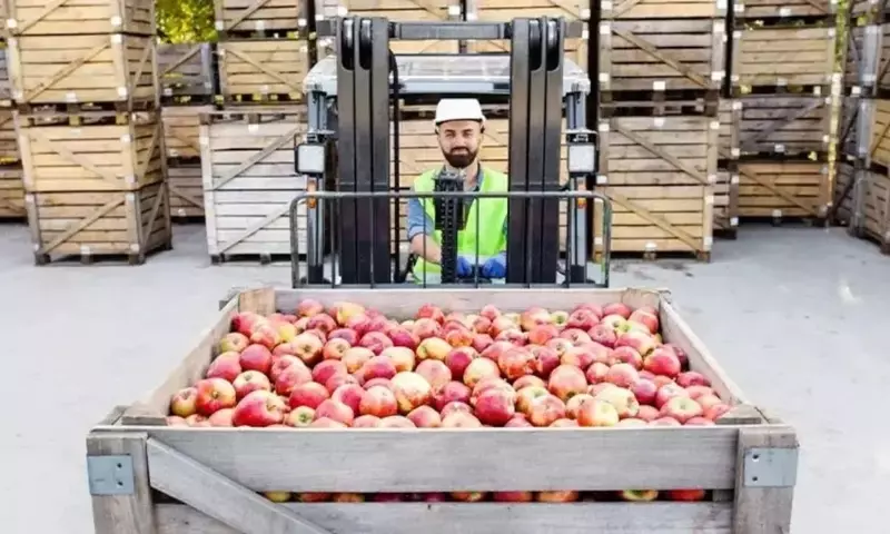 Panorama Agrícola Chileno: Impulsores de Exportación y Dinámicas de Cultivo