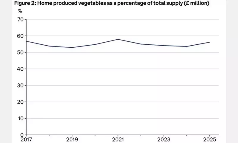 El Futuro Dinámico de la Horticultura en el Sur de Europa: Adaptación y Desafíos